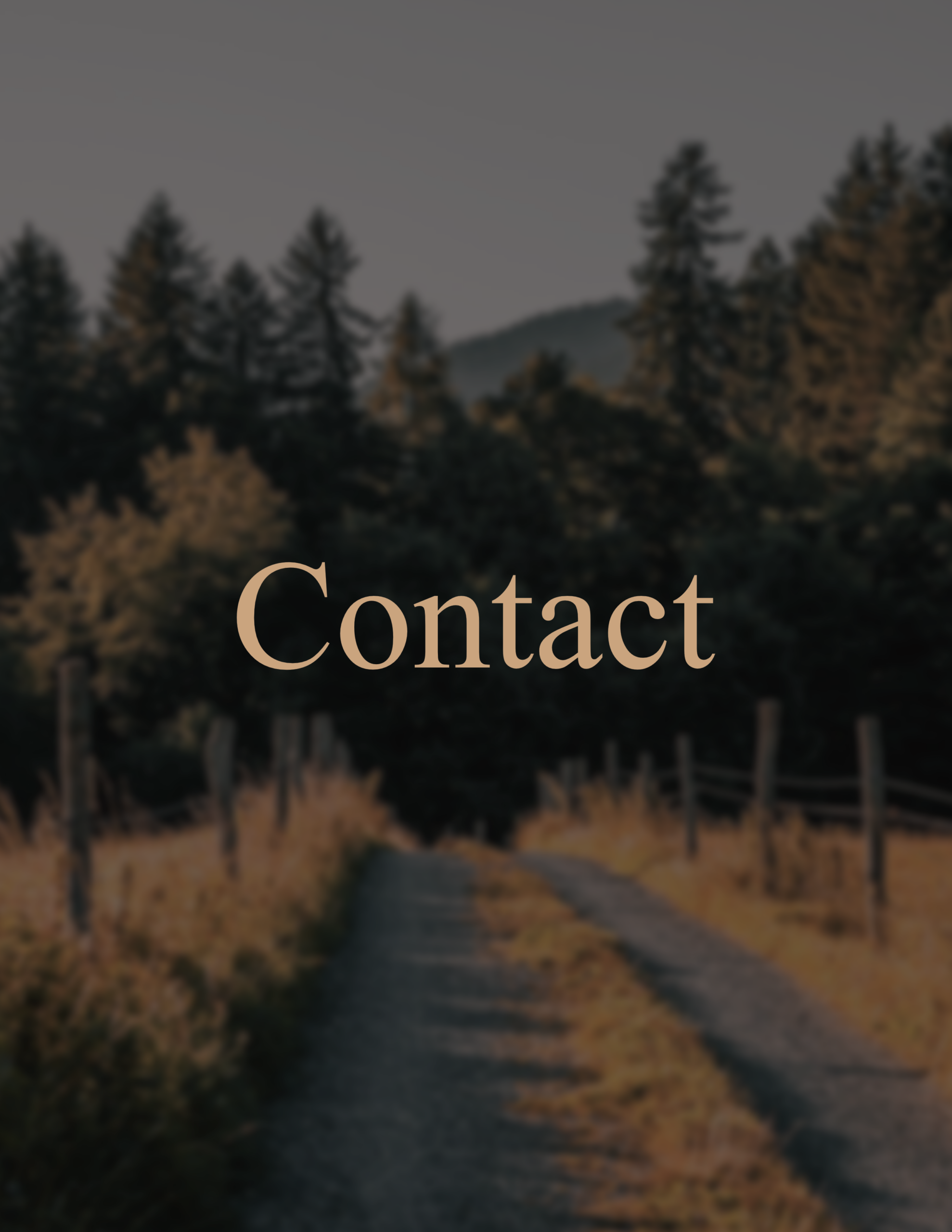 Contact-Square
